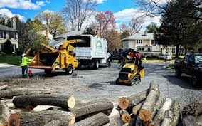 Best Seasonal Cleanup (Spring/Fall)  in Weedpatch, CA